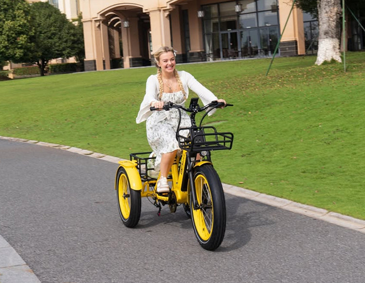 The Complete Guide to Electric Tricycles: Everything You Need to Know Before Buying an Electric Trike in 2026