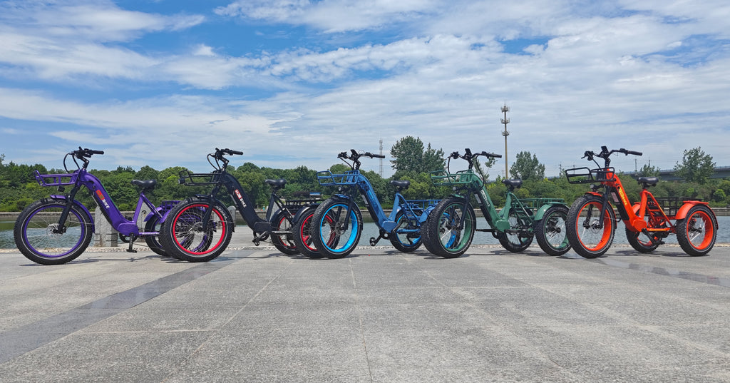 The Top 5 Fat Tire Electric Bikes of 2024: HJMbike's Best Picks