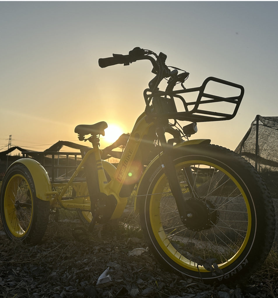 Embracing Autumn Rides: The Ultimate Guide to E-Biking in Fall