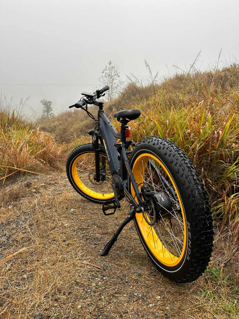 Embracing Exploration: A Comprehensive Guide to Fat Tire Electric Bikes