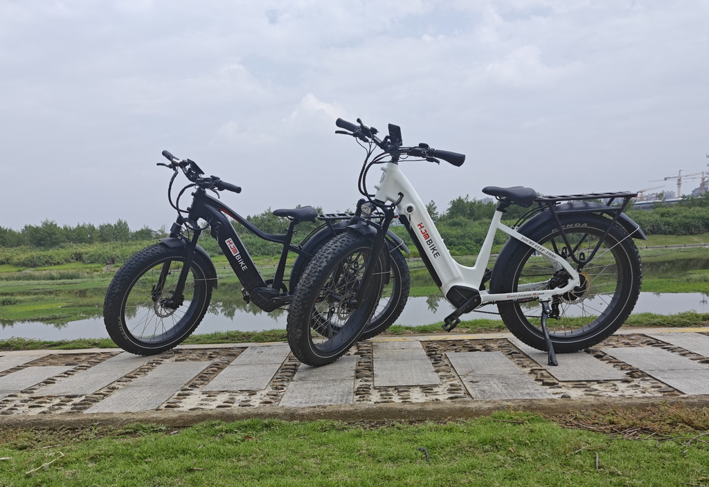 How to Choose Between High-Step and Step-Thru Electric Bikes: A Comprehensive Guide