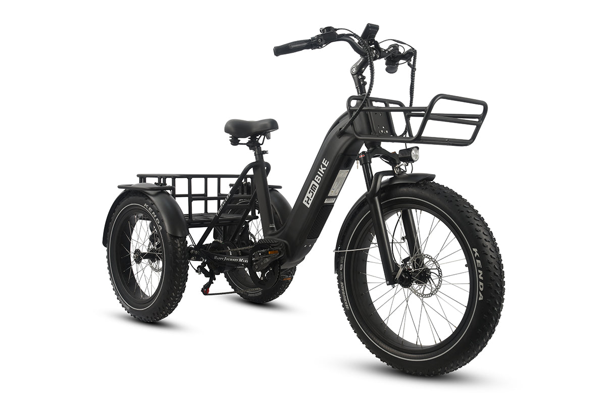 TriHauler Heavy Duty Fat Tire Utility eTrike, TriHauler Pro (Rear Drive 1000W / Torque Sensor) / Midnight Black / Single Battery(20Ah) TriHauler Heavy Duty Fat Tire Utility eTrike, TriHauler Pro (Rear Drive 1000W / Torque Sensor) / Midnight Black / Single Battery(20Ah)