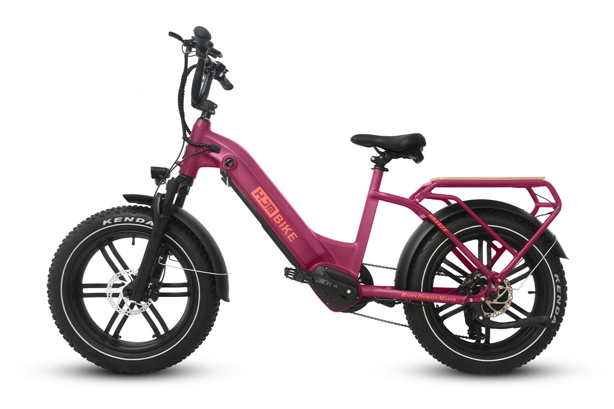 e bike fully pink Breeze Cargo Fat Tire Lifestyle eBike, Mist Blue / Dual Battery(20Ah+17.5Ah)