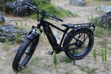 Joyrider High-Step Electric Bike