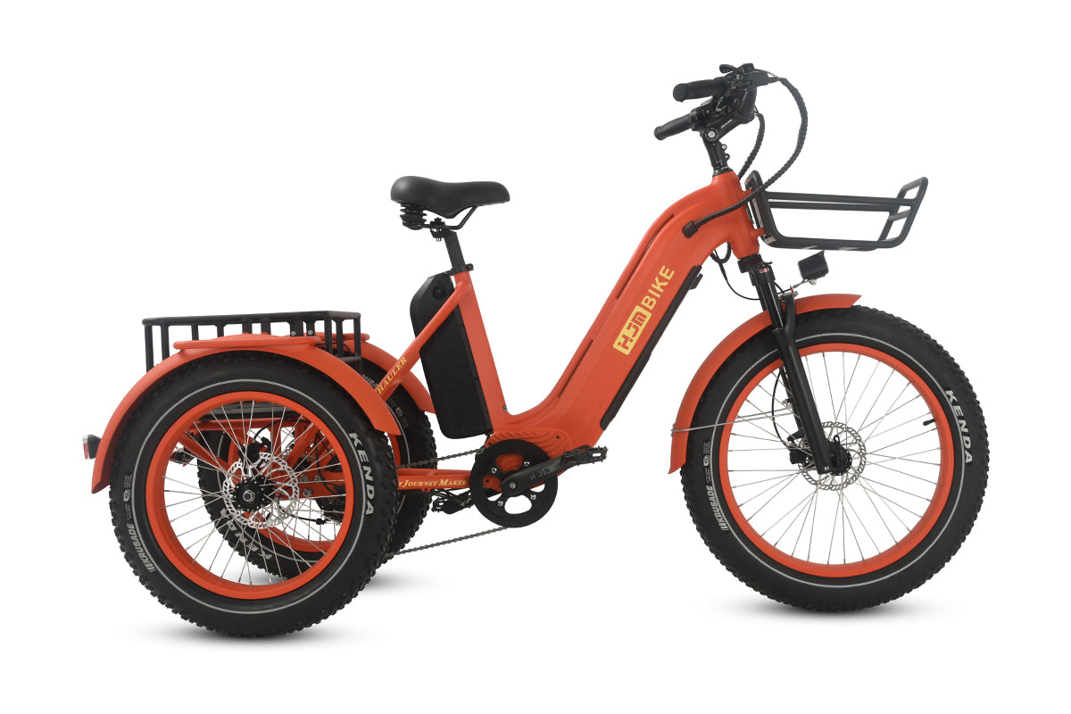 3 wheel trike bicycle Electric Tricycle Fat Tire Heavy Duty Utility eTrike TriHauler