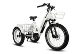 TriHauler Pro Cargo 1000W Rear-Drive Fat Tire Etrike (Fully Assembled)