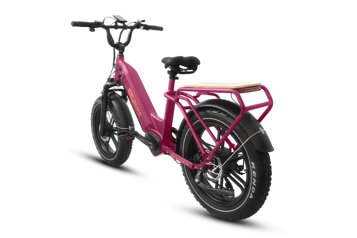 20 inch electric bicycle Breeze Cargo Fat Tire Lifestyle eBike, Mist Blue / Dual Battery(20Ah+17.5Ah)