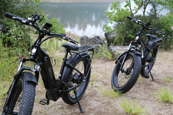 Joyrider Fat Tire Utility eBike