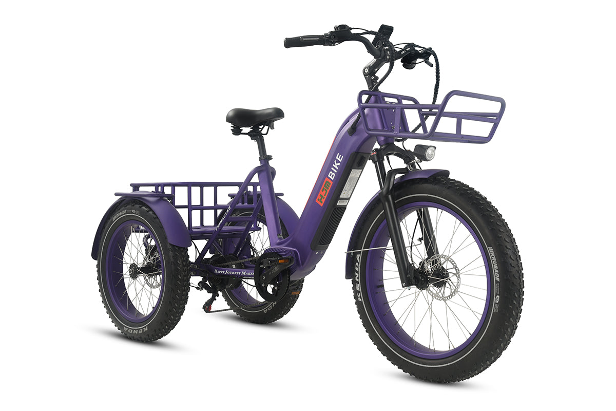 TriHauler Heavy Duty Fat Tire Utility eTrike, TriHauler (Rear Drive 750W) / Hunter Green / Single Battery(20Ah)