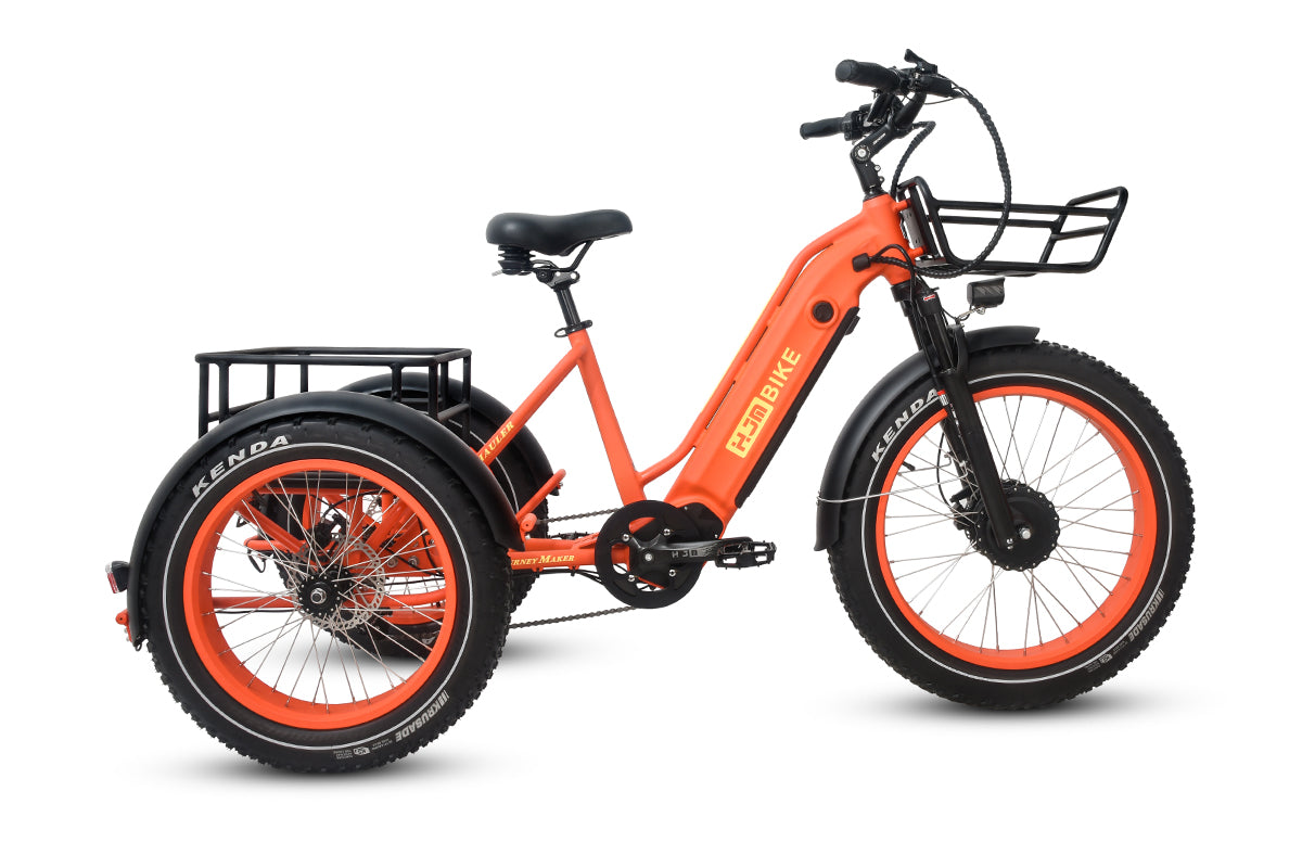elektrofahrrad trike Electric Tricycle Fat Tire Heavy Duty Utility eTrike TriHauler