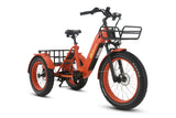 TriHauler Pro Cargo 1000W Rear-Drive Fat Tire Etrike (Fully Assembled)