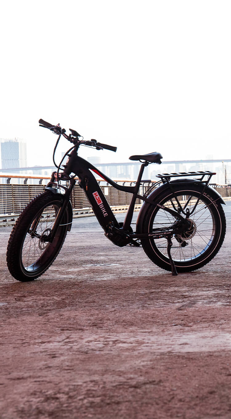 Fat Tire Ebike, 750 Watt Electric Off Road Bike For Sale HJM E