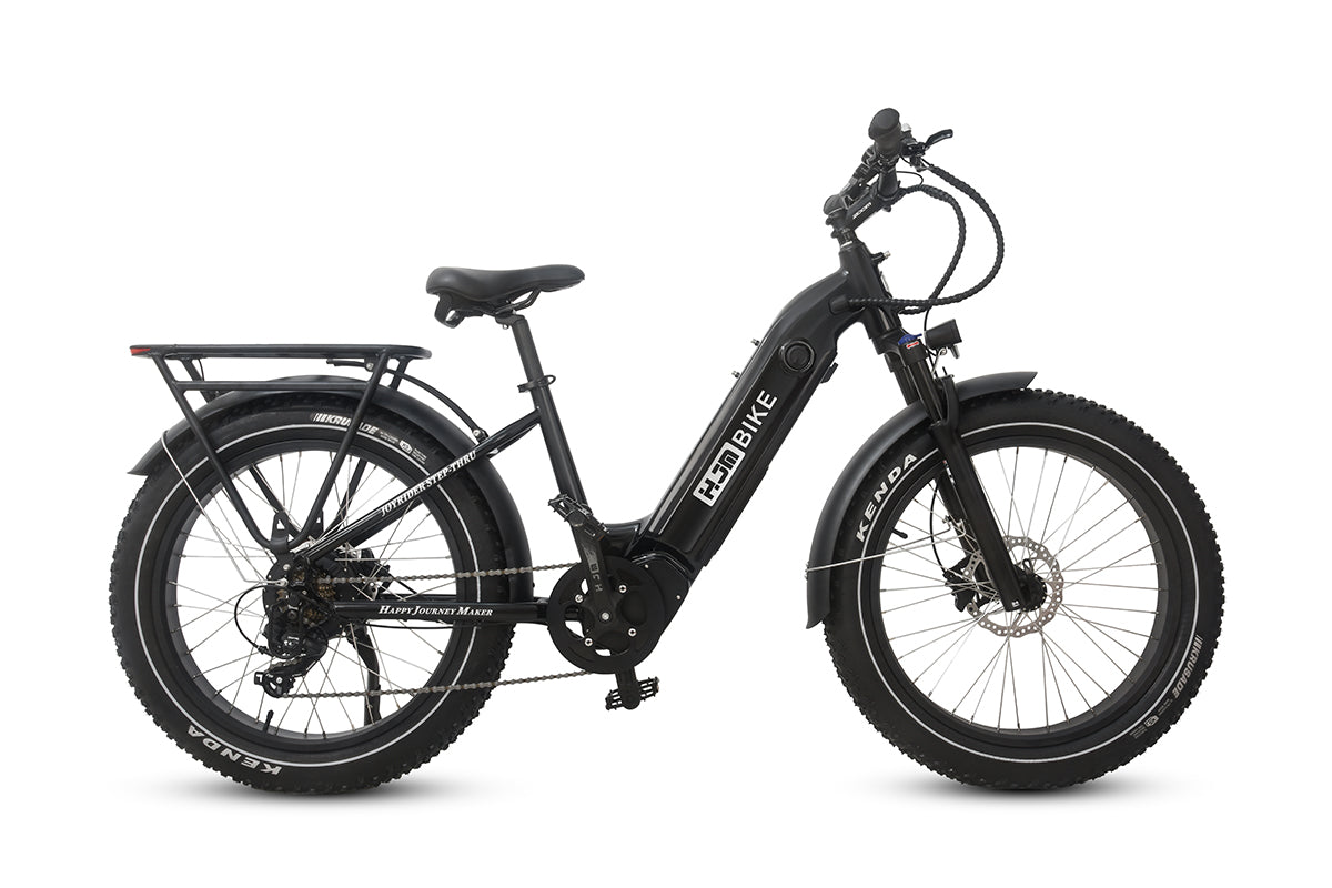 Joyrider Fat Tire Utility eBike, Step-Through (24 Joyrider Fat Tire Utility eBike, Step-Through (24