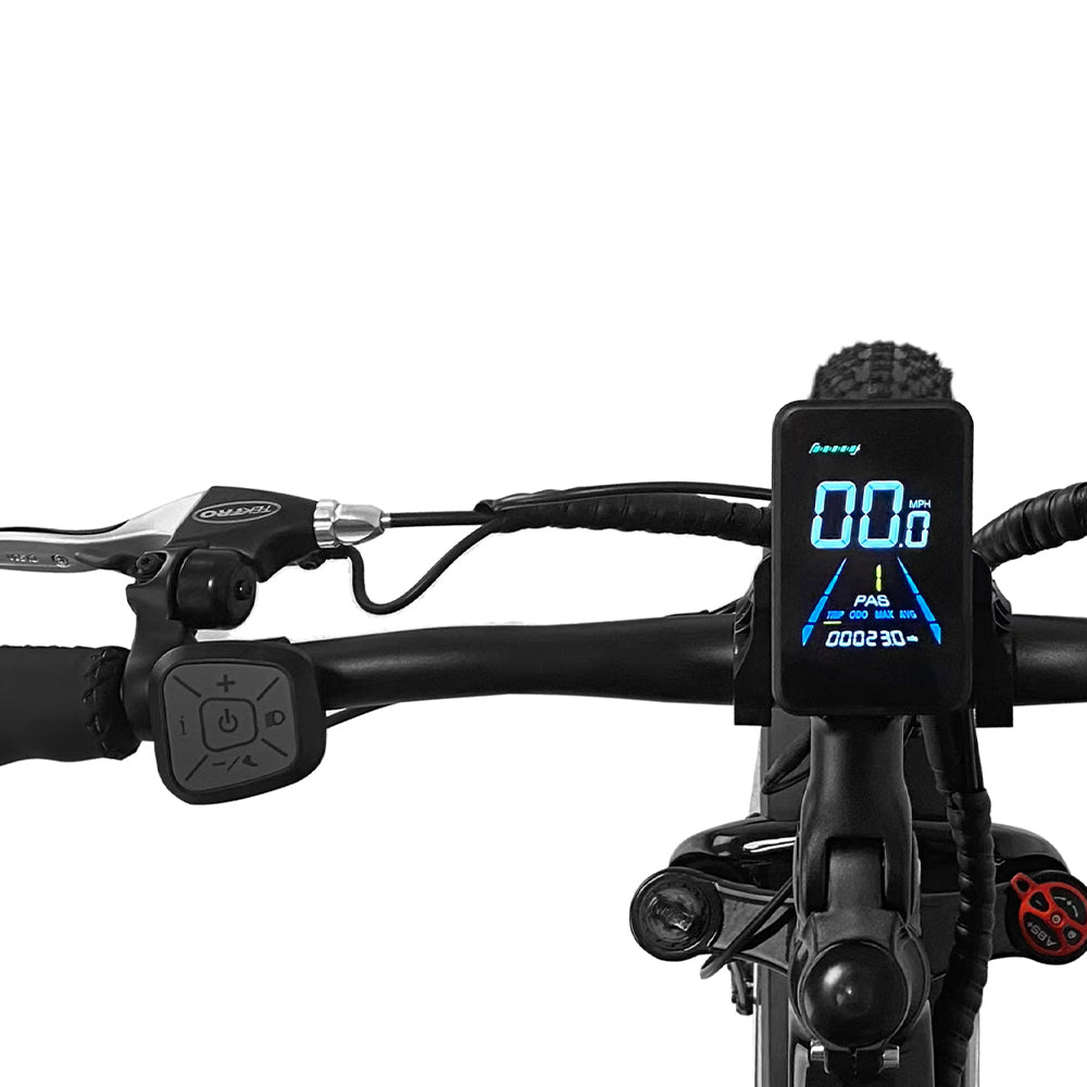 Ebike LCD Display
