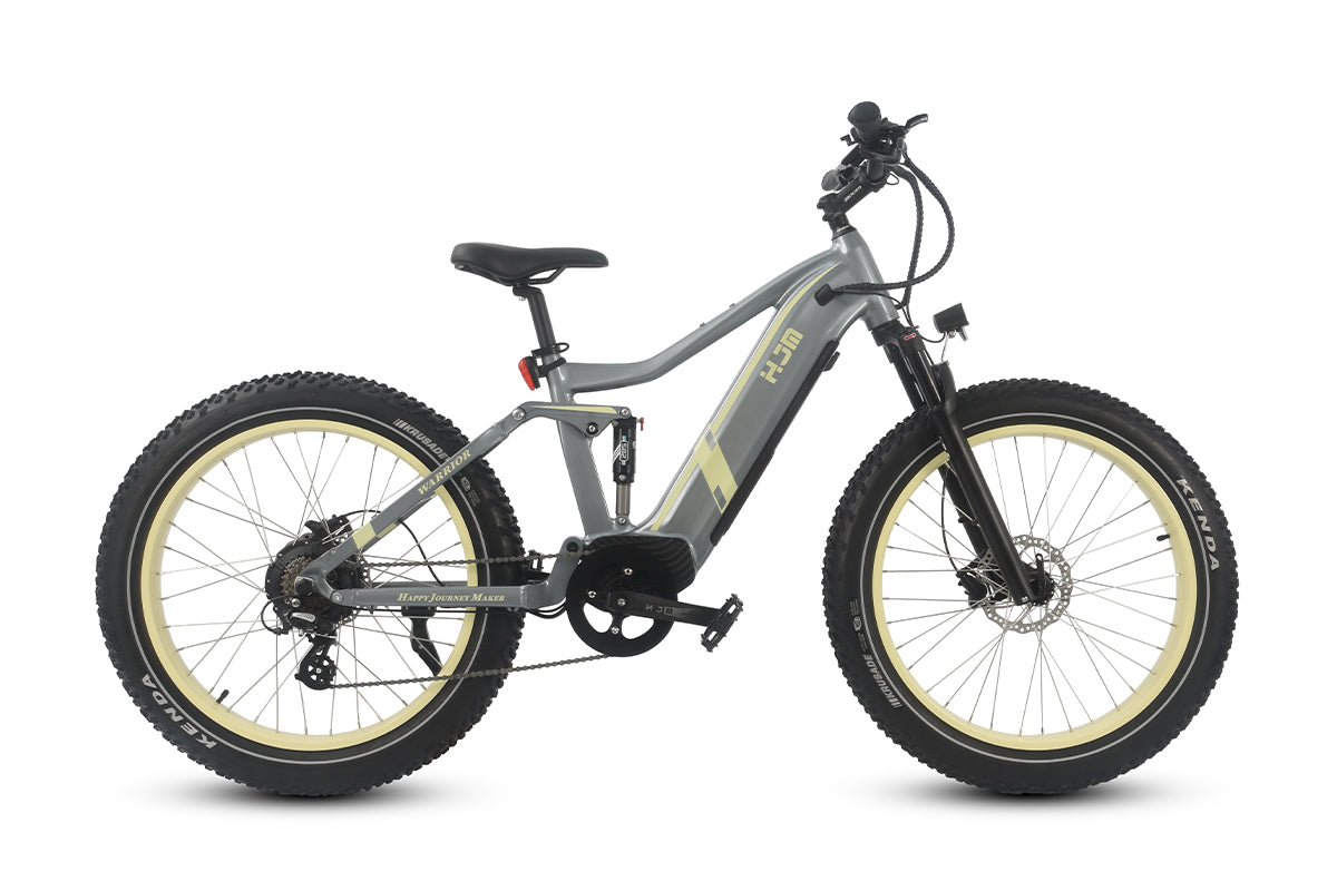 Ican Dual Suspension Fat Bike Dual Suspension Mountain Fat Tyre