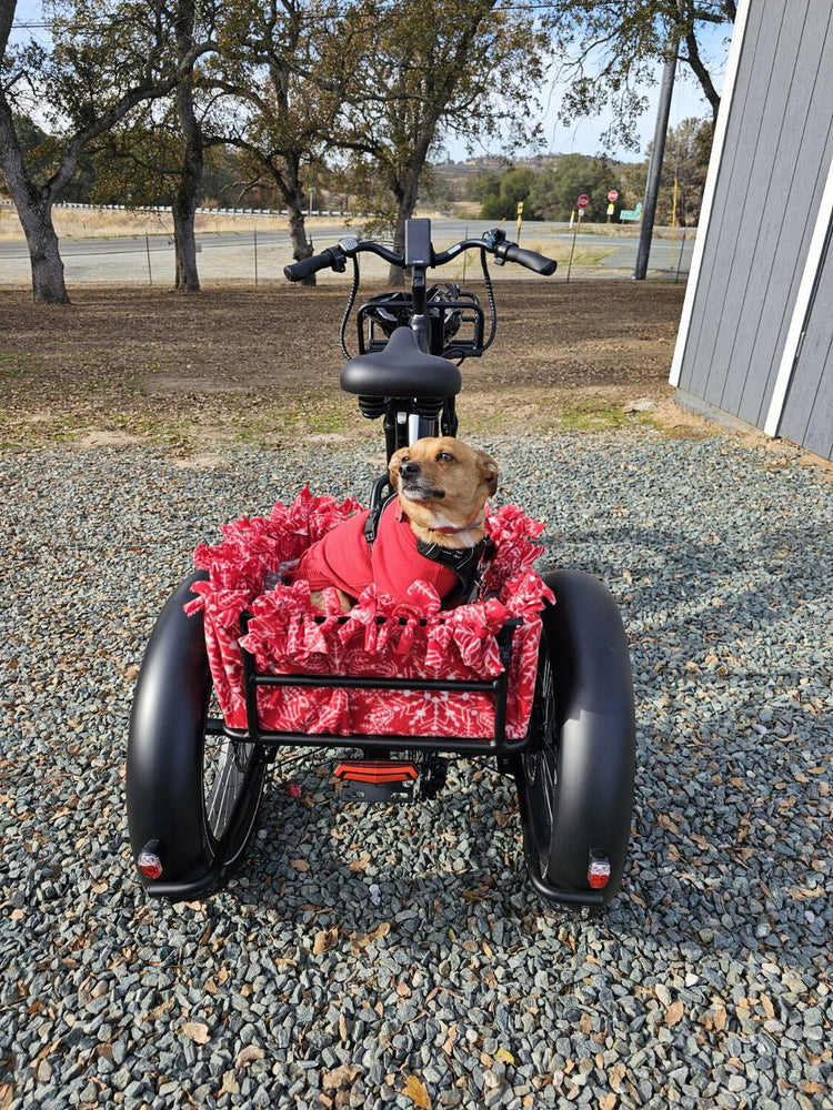 Make Your Cargo Space Work for You