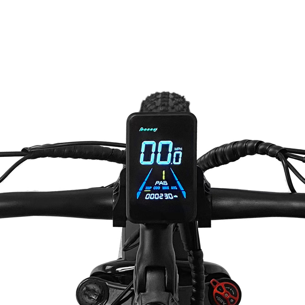 simplon e bike display Ebike LCD Display