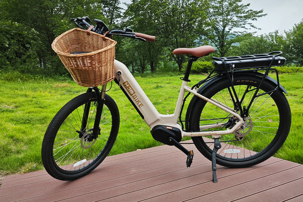 Roamer Mid Drive Torque Sensor Cruiser eBike