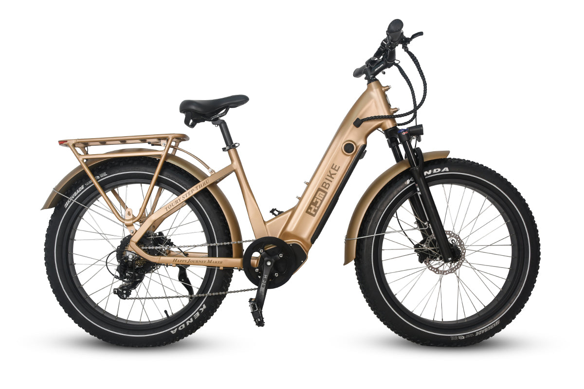 automatic electric bicycle Fat Tire eBike All Terrain Electric Bike Adult Long Range Battery 750W Mountain Trial Off Road Bike, Step-Through / Harvest Gold