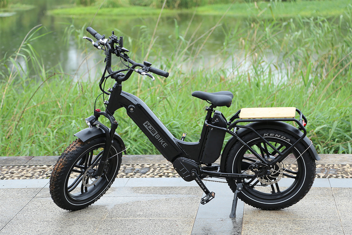 electric bicycle 20 inch Breeze Cargo Fat Tire Lifestyle eBike, Mist Blue / Dual Battery(20Ah+17.5Ah)