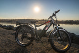Classic Toury Fat Tire Ebike