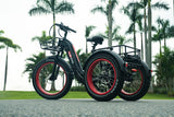 TriHauler Terra Heavy Duty Fat Tire Utility Electric Trike