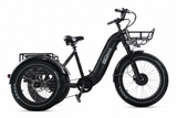 TriHauler Terra Dual Drive Heavy Duty Fat Tire Utility Electric Trike