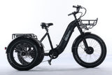 TriHauler Terra Dual Drive Heavy Duty Fat Tire Utility Electric Trike