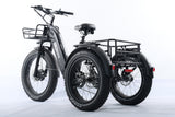 TriHauler Terra Dual Drive Heavy Duty Fat Tire Utility Electric Trike