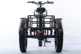 TriHauler Terra Dual Drive Heavy Duty Fat Tire Utility Electric Trike