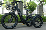 TriHauler Terra Dual Drive Heavy Duty Fat Tire Utility Electric Trike