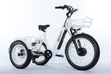TriHauler Terra Dual Drive Heavy Duty Fat Tire Utility Electric Trike