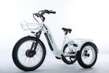 TriHauler Terra Dual Drive Heavy Duty Fat Tire Utility Electric Trike