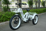 TriHauler Terra Dual Drive Heavy Duty Fat Tire Utility Electric Trike