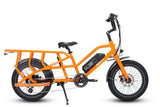 Transer Cargo Electric Bike