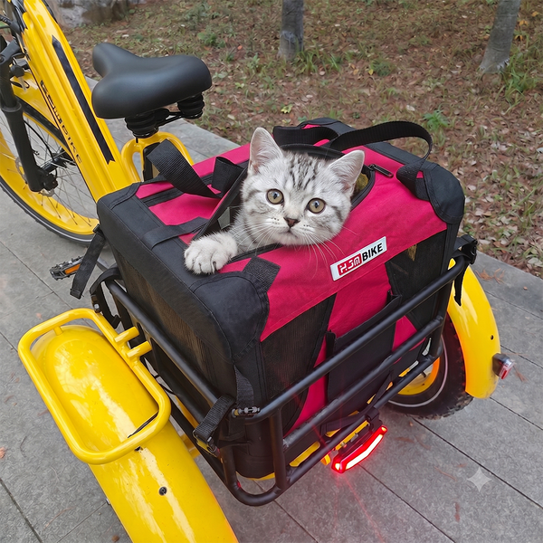 Pet Carrier