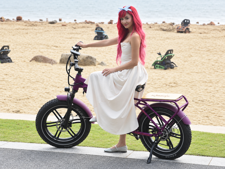 What makes a 20-inch fat tire ebike different?