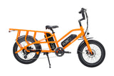 Transer Cargo Electric Bike