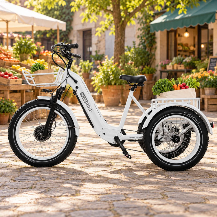 What can a 550 lb cargo electric trike carry?
