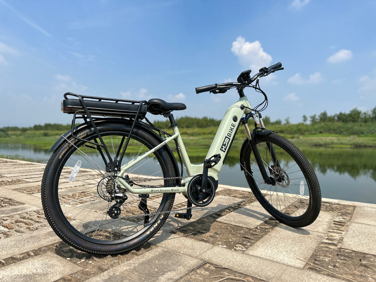 What makes Roamer a cruiser electric bike?