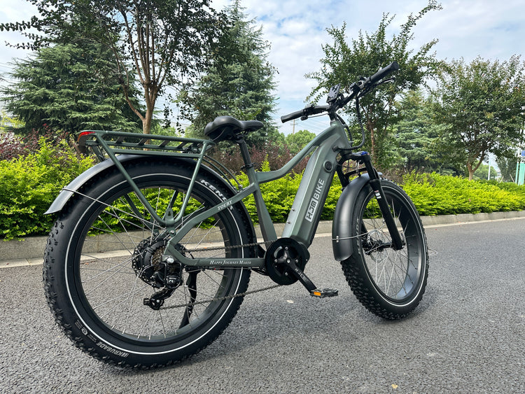 What can you bring on a utility electric bike?