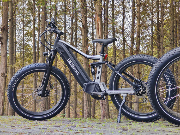 Electric Mountain Bike. Everyday Freedom.